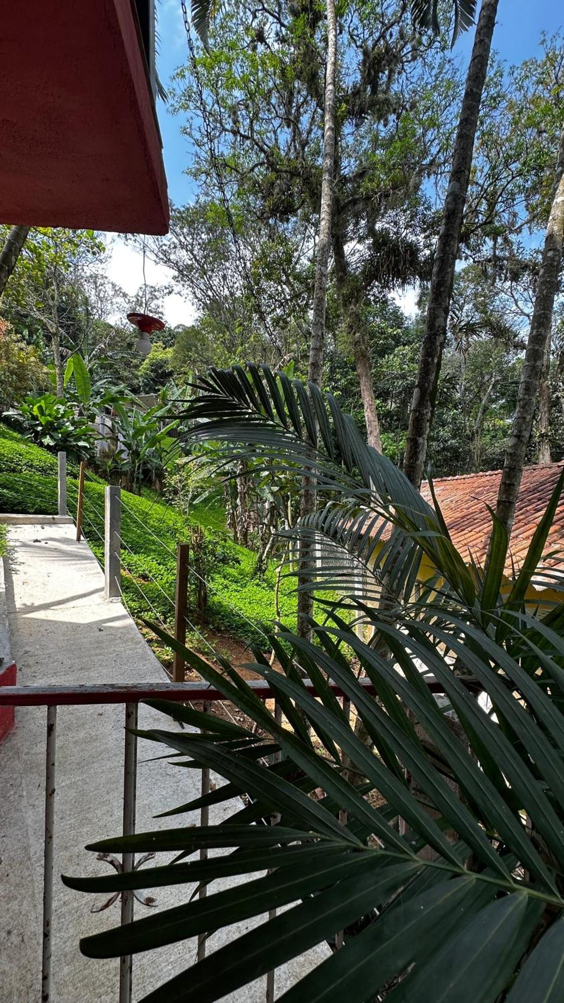 Casa Da Floresta *