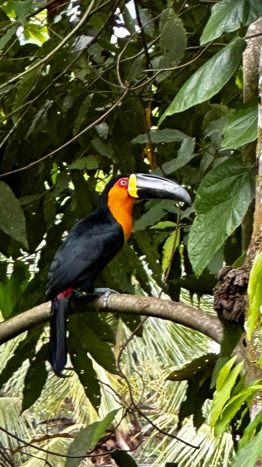 Casa Da Floresta