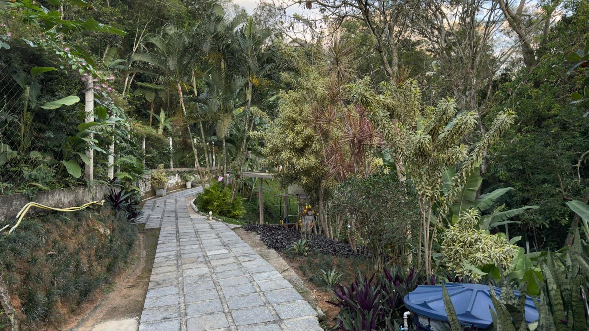 Casa Da Floresta Holiday home *