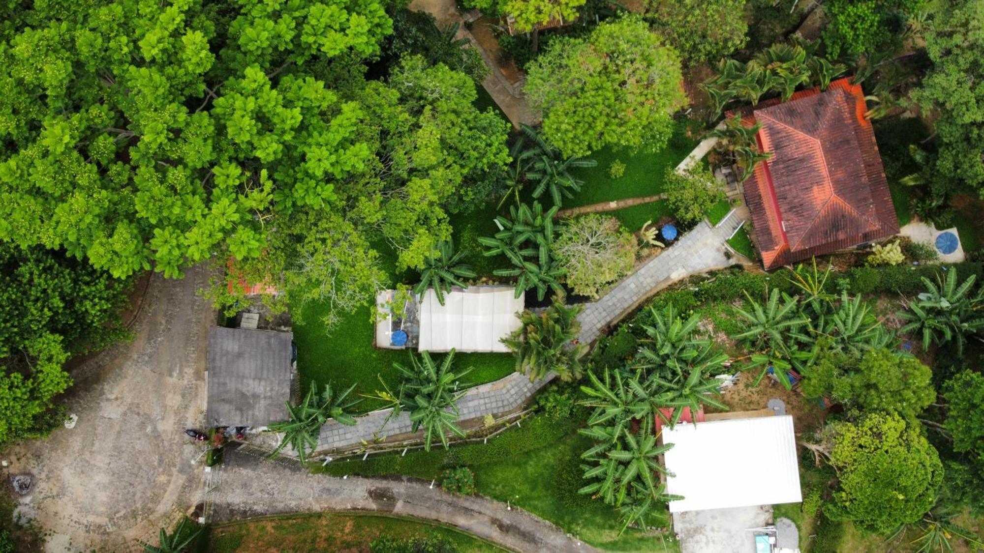 Casa Da Floresta Holiday home