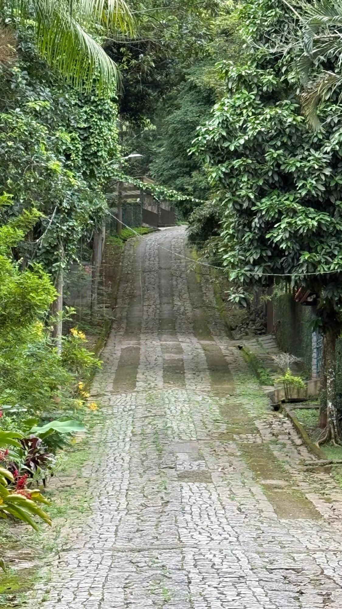 Casa Da Floresta Holiday home